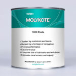 Molykote 1000 Paste 1 KG | Beltco